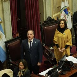 Otra difícil jornada para el Gobierno: el Senado consiguió quórum