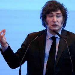 Milei preocupado por la concurrencia a las urnas