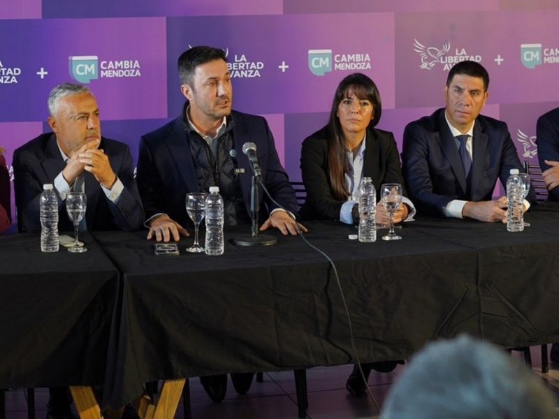 Así votaron los diputados mendocinos la Ley de Glaciares