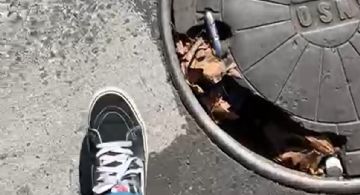 La alcantarilla que se convirtió en una trampa para peatones