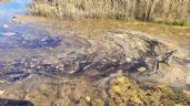 Foto ilustrativa de la nota titulada: Irrigación destituyó y multó a la inspectora que denunció contaminación en Lunlunta