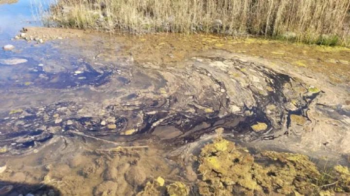 Irrigación destituyó y multó a la inspectora que denunció contaminación en Lunlunta