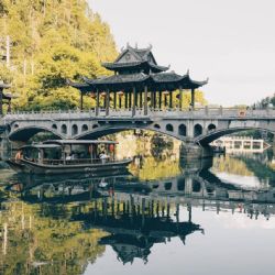 Horóscopo chino: las predicciones para este miércoles 17 de diciembre