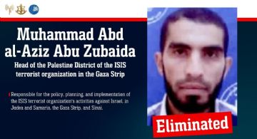 Israel afirma haber matado al principal líder del EI en Gaza