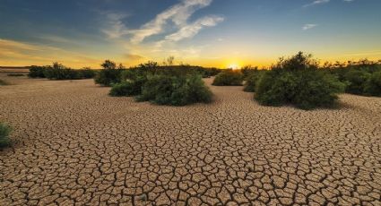 Prevén escenario de sequía para este verano
