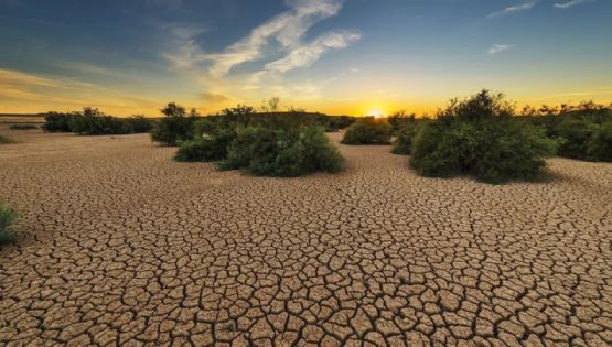 Prevén escenario de sequía para este verano