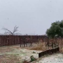 La tormenta de Santa Rosa se convirtió nevadas en el llano