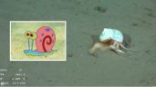 Foto ilustrativa de la nota titulada: Tras el hallazgo de la “estrella culona”, el CONICET se encontró con “Gary”