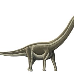 La epidemia que extinguió a los dinosaurios en Brasil