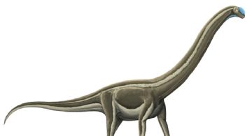 La epidemia que extinguió a los dinosaurios en Brasil