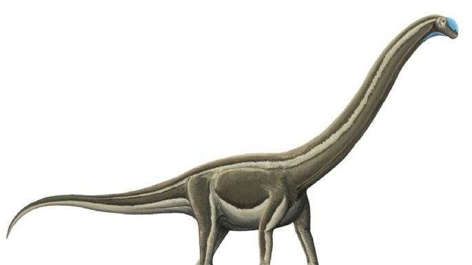 La epidemia que extinguió a los dinosaurios en Brasil