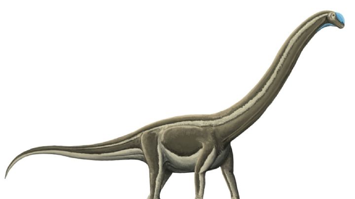 La epidemia que extinguió a los dinosaurios en Brasil