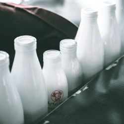 Leche contaminada provoca alerta sanitaria en Florida