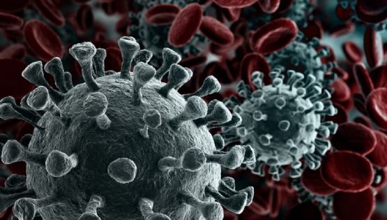 Ya está en Argentina la variante Frankestein del Covid