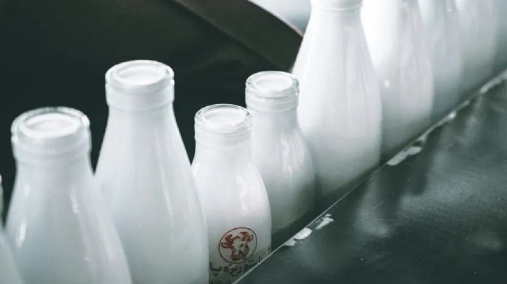 Leche contaminada provoca alerta sanitaria en Florida