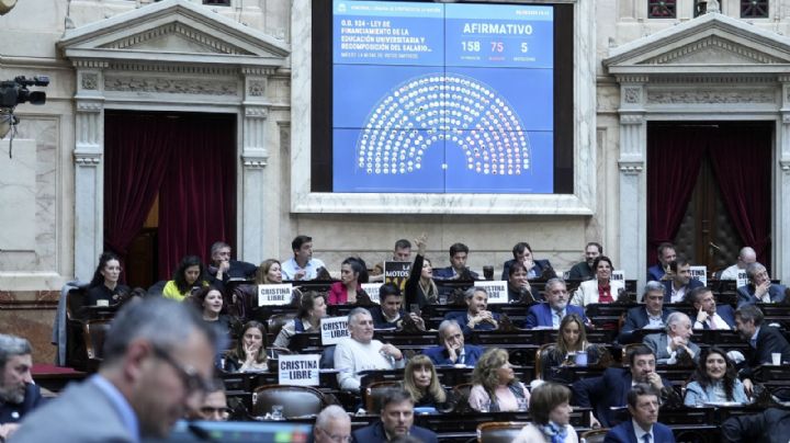 Cuáles son los cinco DNU clave que rechazó Diputados y frenaron a Milei
