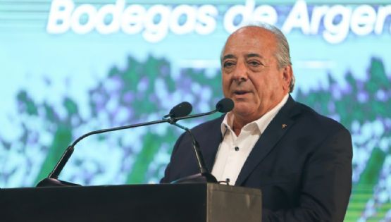 Bodegas de Argentina se sumó a las quejas por la suba de la contribución de Coviar