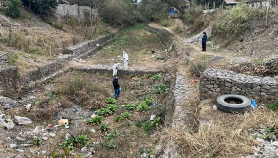 El asesino serial de Jujuy alimentaba a sus perros con carne humana 