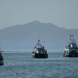 La ONU afirma que entregar ayuda al norte de Gaza sigue siendo un desafío