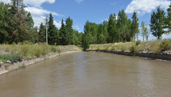 Cinco empresas interesadas en una obra para beneficiar a regantes de San Carlos