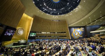 La ONU respaldó la “solución de los dos Estados” para Palestina y Argentina votó en contra