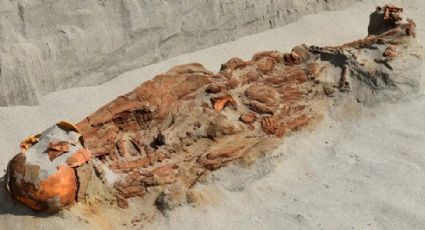 Encontraron una inquietante tumba con cuerpos atados en Perú 