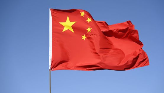 La verdad detrás del vínculo con China: pocos dólares y mucha propaganda