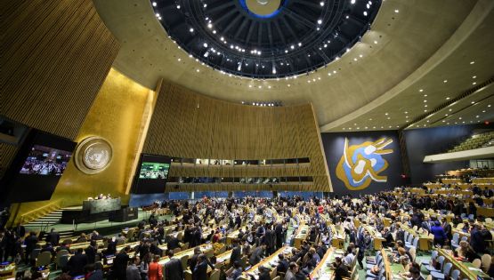 La ONU respaldó la “solución de los dos Estados” para Palestina y Argentina votó en contra