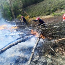 La gobernación de Santa Cruz, en Bolivia, declaró la emergencia