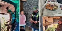 9 allanamientos se realizaron en Mendoza. 