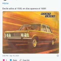 "Dólar Dodge" y otros ocurrentes memes llenaron las redes tras la suba del dólar