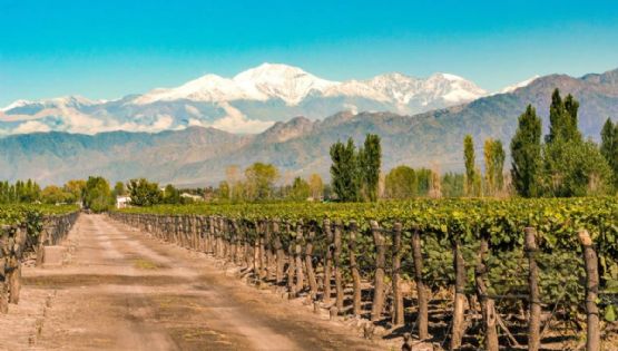 Mendoza entre los destinos más elegidos para el próximo fin de semana largo