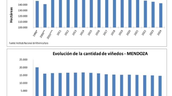 En casi 10 años se perdieron unas 17 mil hectáreas de vid
