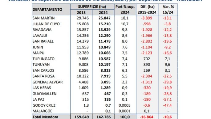 En casi 10 años se perdieron unas 17 mil hectáreas de vid