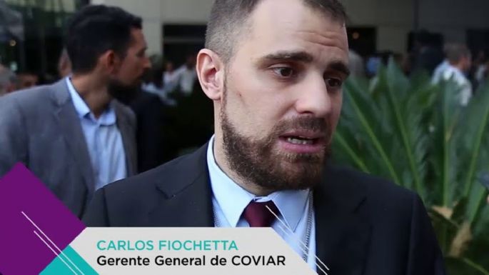 En casi 10 años se perdieron unas 17 mil hectáreas de vid