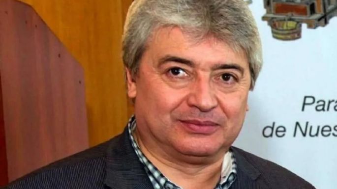 En casi 10 años se perdieron unas 17 mil hectáreas de vid