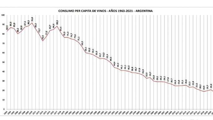En casi 10 años se perdieron unas 17 mil hectáreas de vid