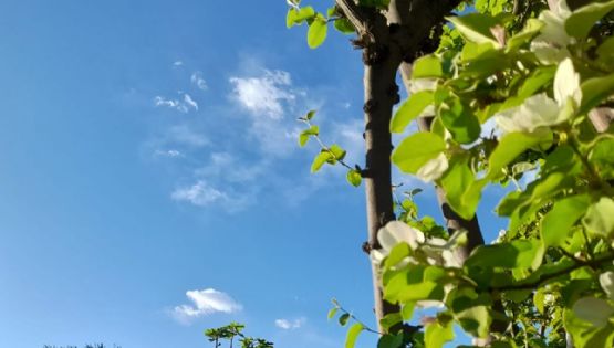 Así estará el tiempo en Mendoza este sábado