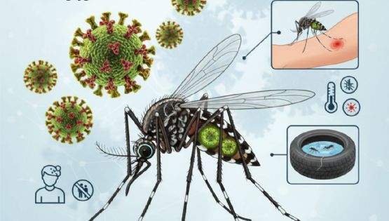 Advierten por el avance del dengue y llaman a reforzar la prevención