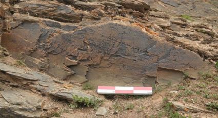 La única piedra grabada conocida de la dinastía Qin