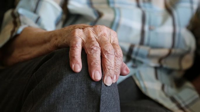 Alemania quiere darle U$S 11 al mes a los niños y jóvenes para que inviertan en la bolsa