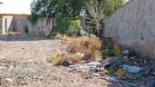 Foto ilustrativa de la nota titulada: Vecinos a la deriva: inseguridad y basura a metros de la Delegación Carrodilla
