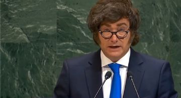 Solo 3 de 10 argentinos están satisfechos con el rumbo político económico