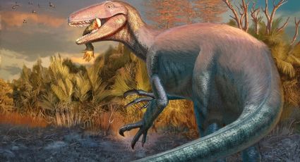 Hallan en Chubut uno de los últimos dinosaurios carnívoros que habitó la Tierra