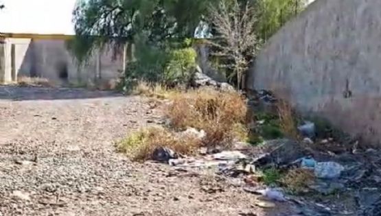 Vecinos a la deriva: inseguridad y basura a metros de la Delegación Carrodilla