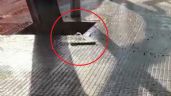 Foto ilustrativa de la nota titulada: Arreglo y desarreglo: una "fuente" brota desde las baldosas en Ciudad