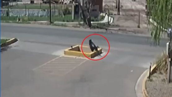 ¡Qué peligro! Un zanjón se tragó a un peatón en Guaymallén