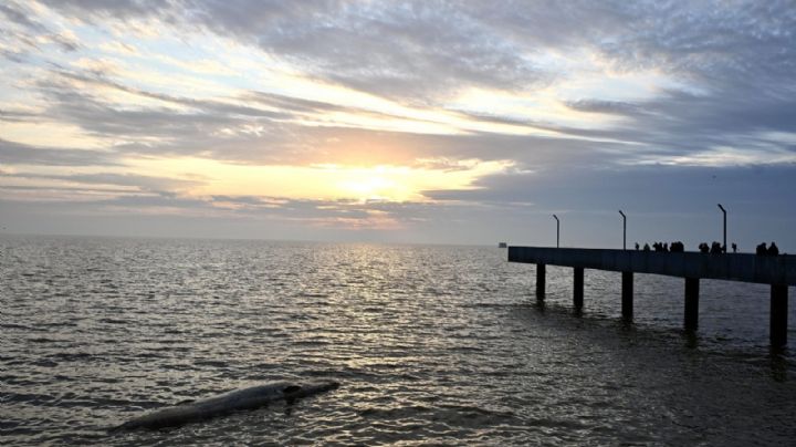 La NASA convierte al Río de la Plata en una sinfonía