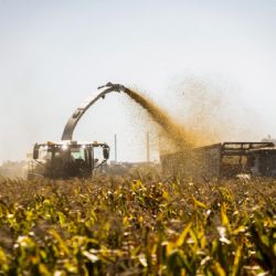 Paso a paso: cómo grandes exportadores se subieron a la bicicleta