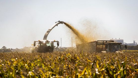 Paso a paso: cómo grandes exportadores se subieron a la bicicleta